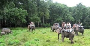 Chitwan Wildlife Safari Tour