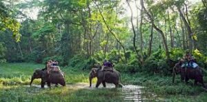 Kathmandu to chitwan national park tour package